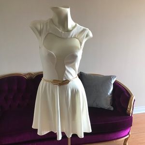Never Worn ASOS Skater Dress